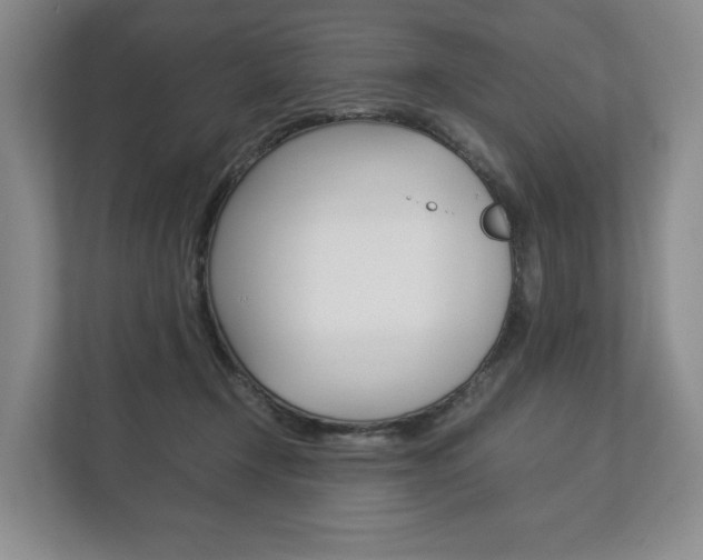 X0000113170366200909040938