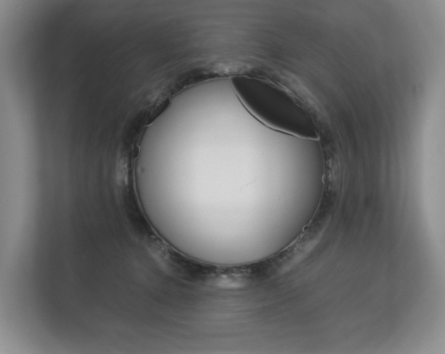 X0000113170368200909040939