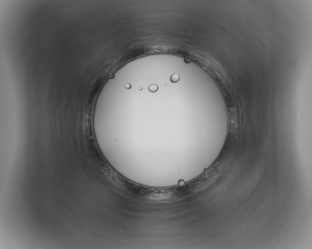 X0000113170369200909040939