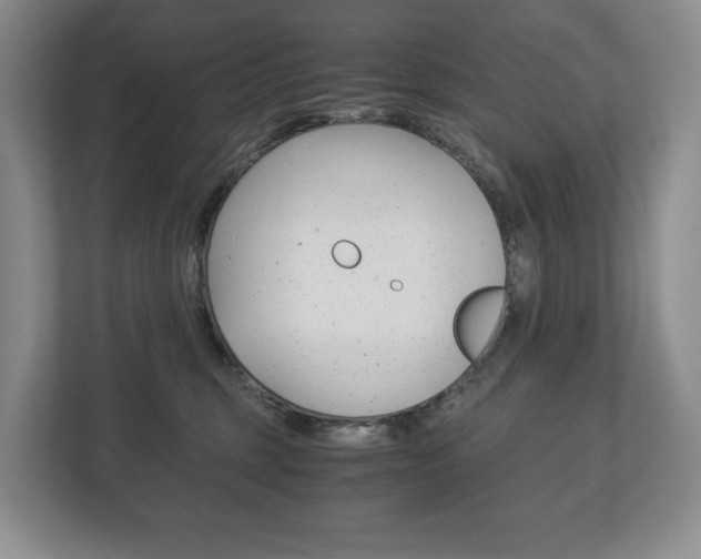 X0000113170375200909040939