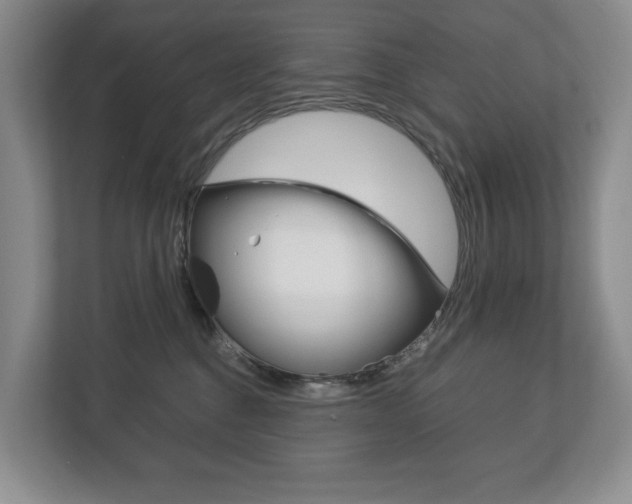 X0000113170376200909040939