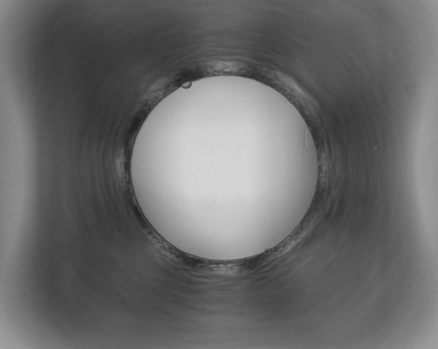 X0000113170377200909040939