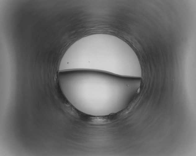 X0000113170380200909040939