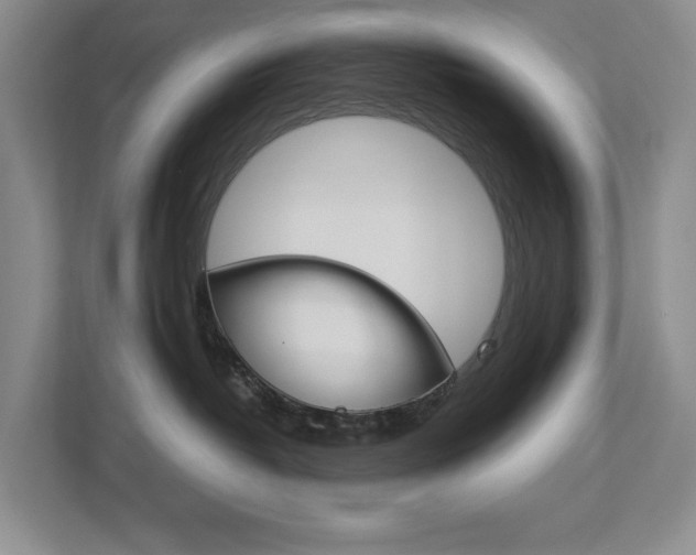 X0000113170382200909040939