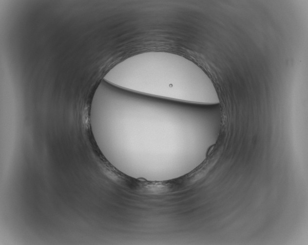 X0000113170383200909040939