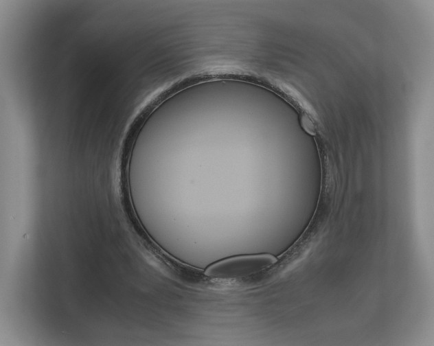 X0000113170391200909040938