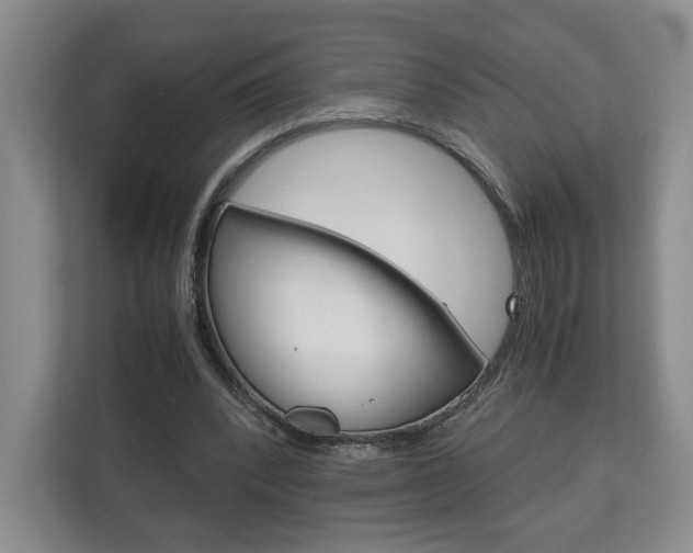 X0000113170392200909040938