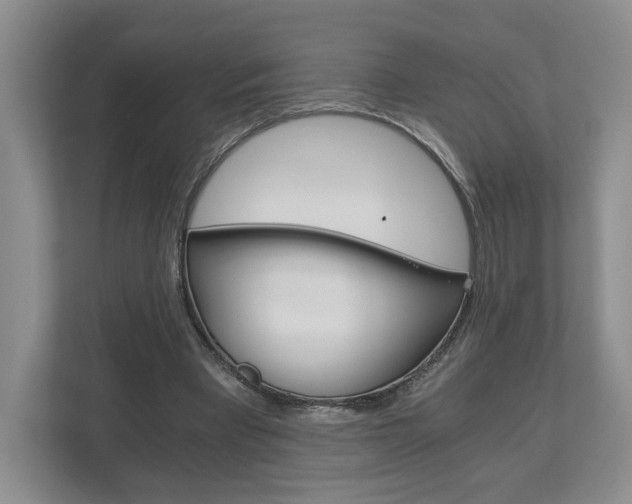 X0000113170393200909040938