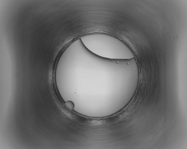 X0000113170394200909040938