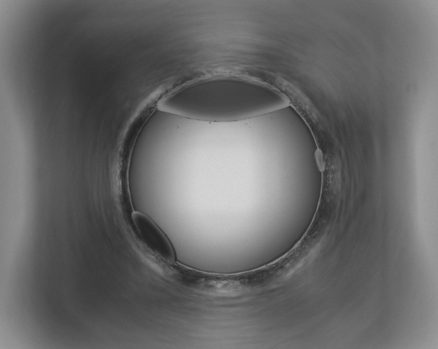 X0000113170395200909040938