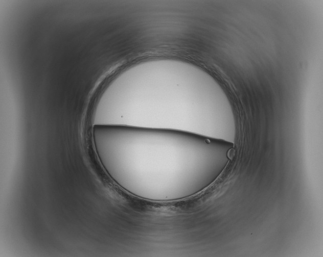 X0000113170396200909040938