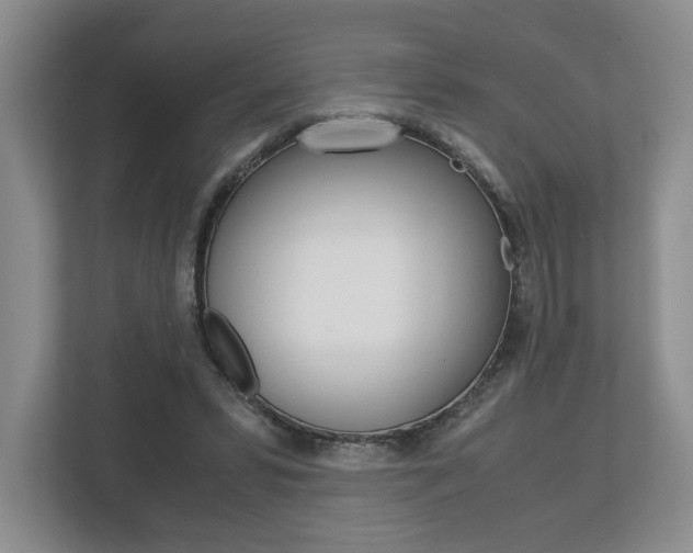 X0000113170399200909040938
