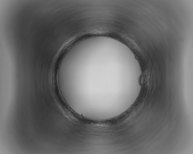 X0000113170400200909040938