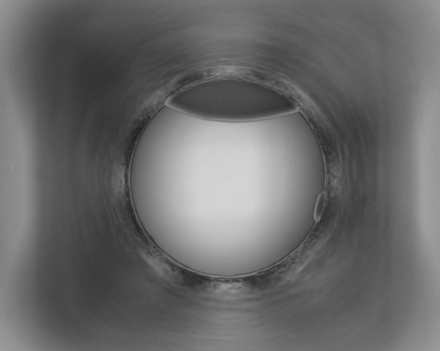 X0000113170401200909040938
