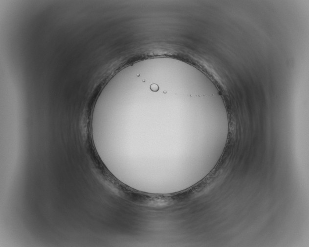 X0000113170402200909040938