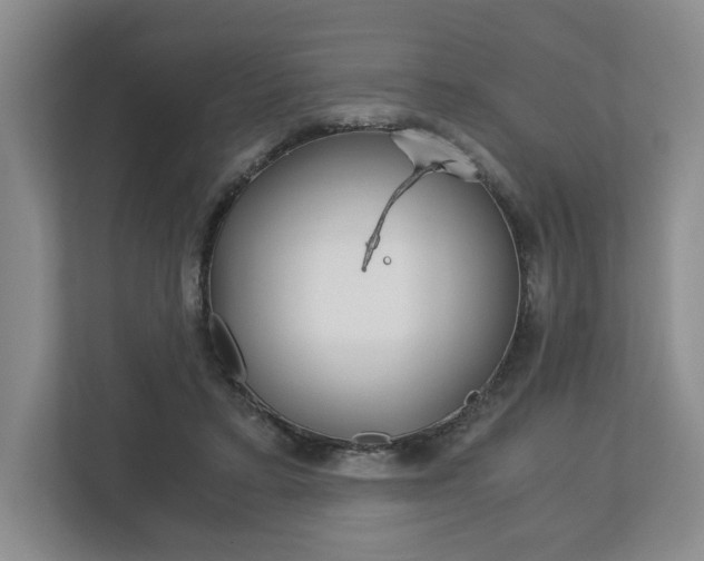X0000113170403200909040938