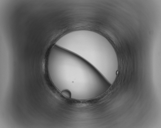 X0000113170404200909040938