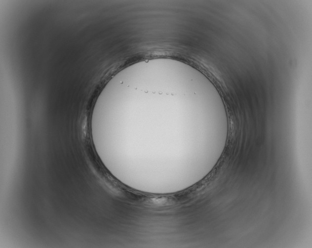 X0000113170406200909040938