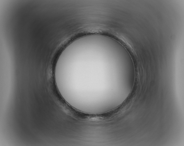 X0000113170407200909040938
