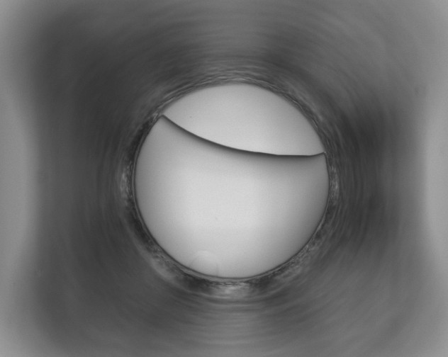 X0000113170410200909040938