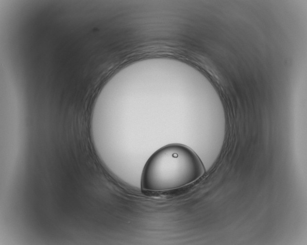 X0000113170411200909040938