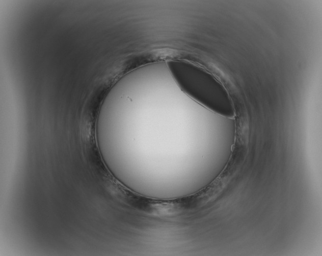 X0000113170417200909040938