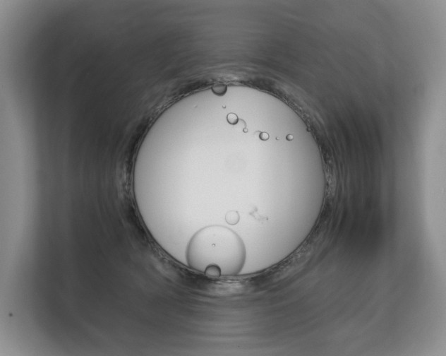 X0000113170418200909040938