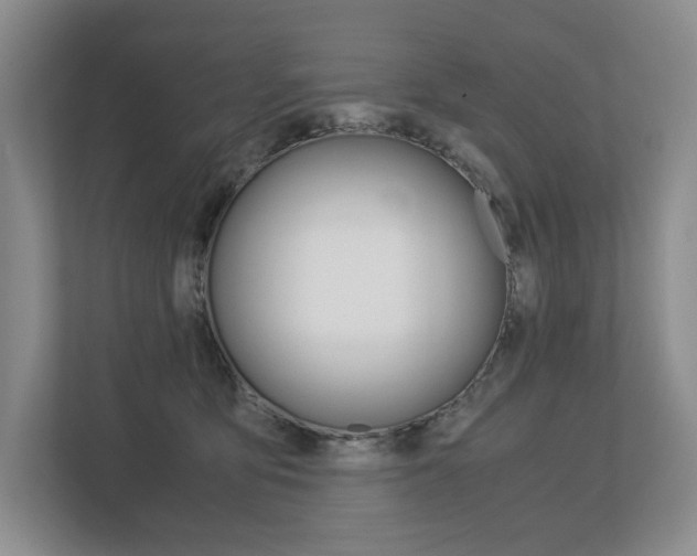 X0000113170419200909040938