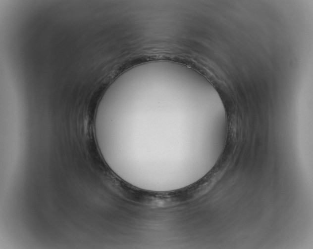 X0000113170420200909040938