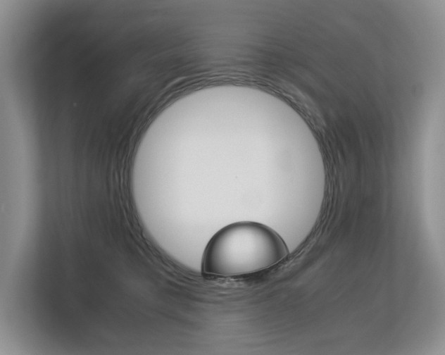 X0000113170421200909040938