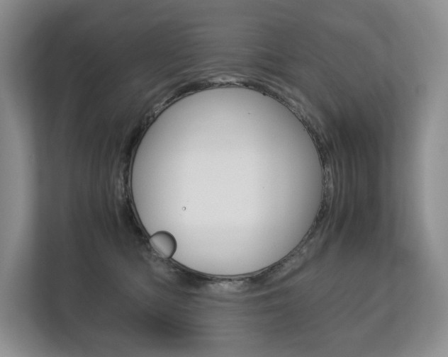 X0000113170422200909040938