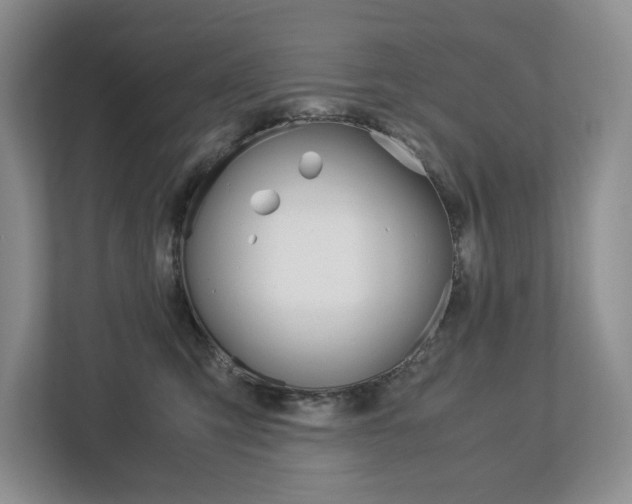X0000113170423200909040938