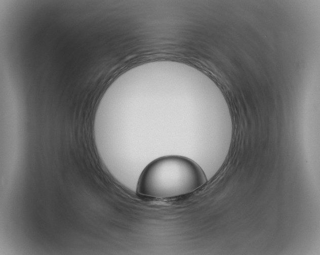 X0000113170425200909040938