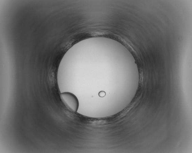 X0000113170426200909040938