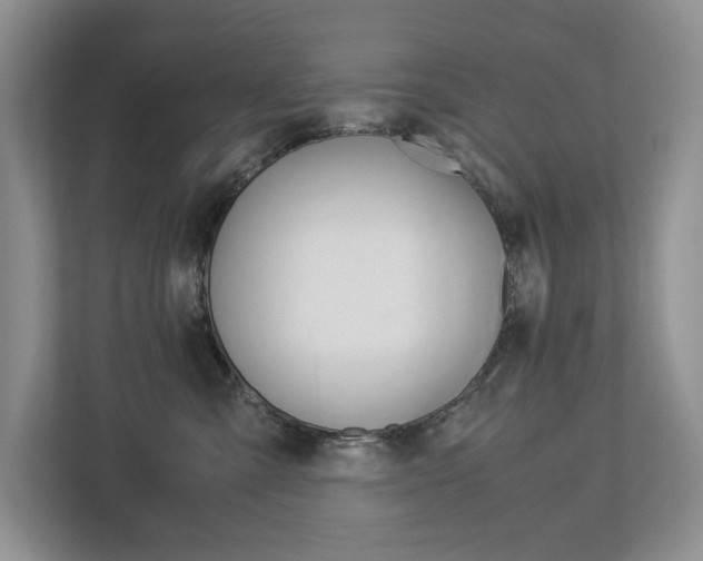 X0000113170427200909040938