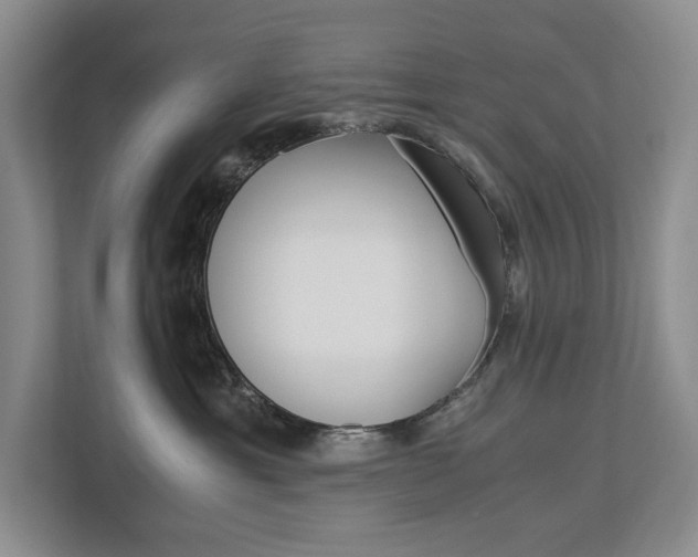 X0000113170429200909040938