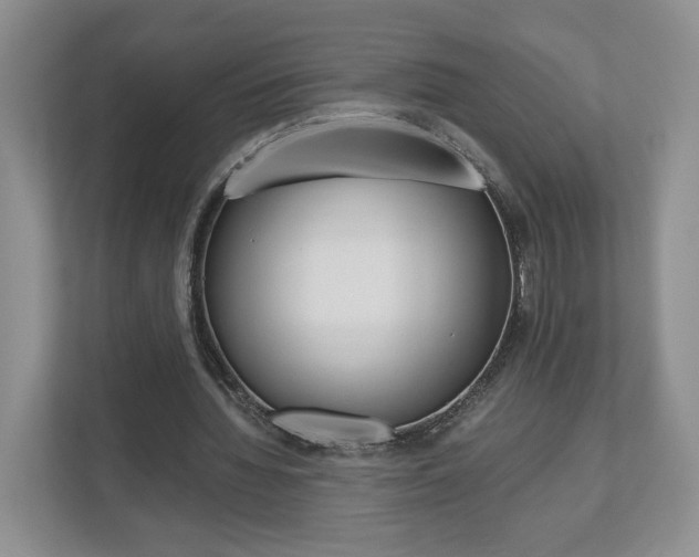 X0000113170436200909040937