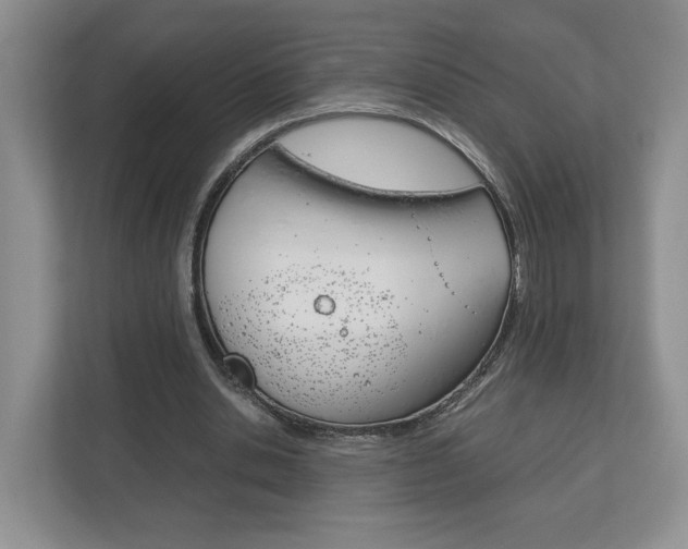 X0000113170438200909040937