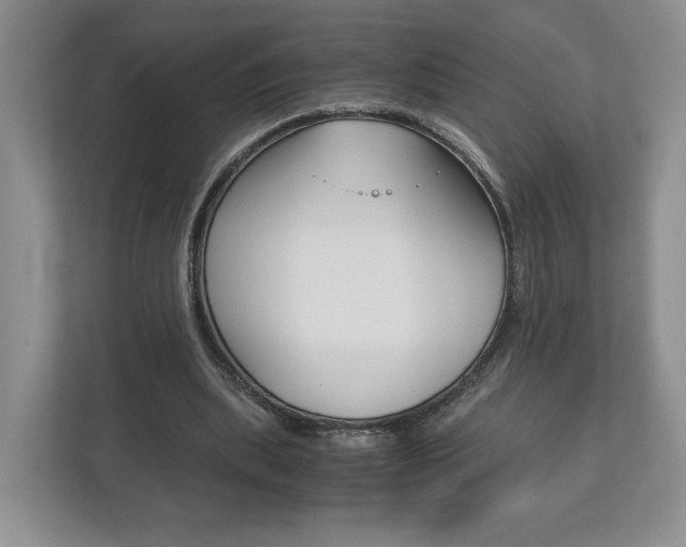 X0000113170439200909040937