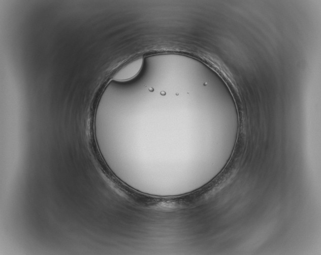 X0000113170441200909040937