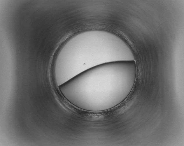 X0000113170443200909040937
