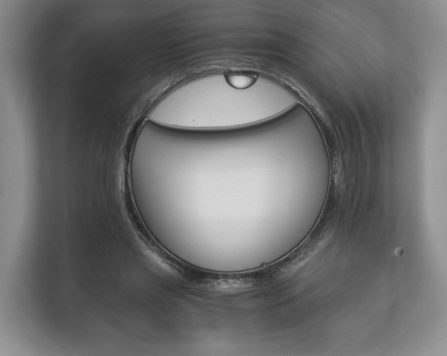 X0000113170445200909040937