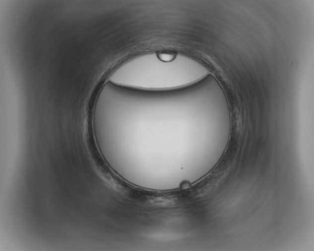 X0000113170447200909040937