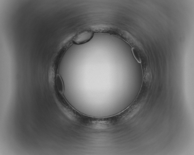 X0000113170448200909040937