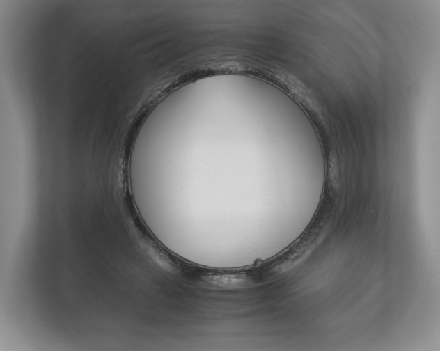 X0000113170449200909040937