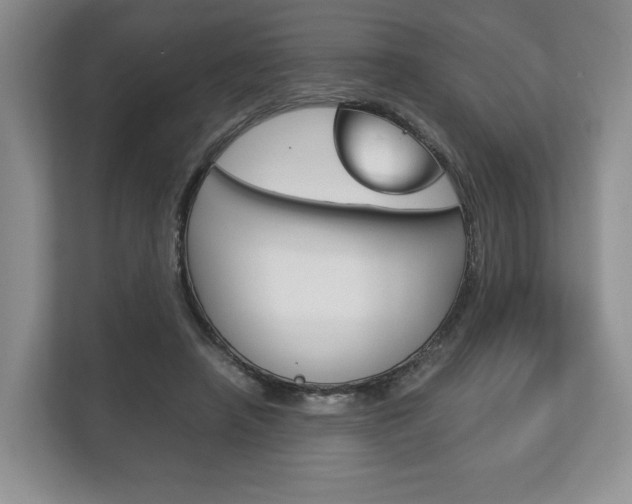 X0000113170450200909040937