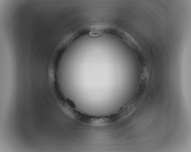 X0000113170452200909040937