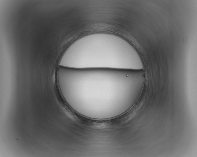 X0000113170454200909040937