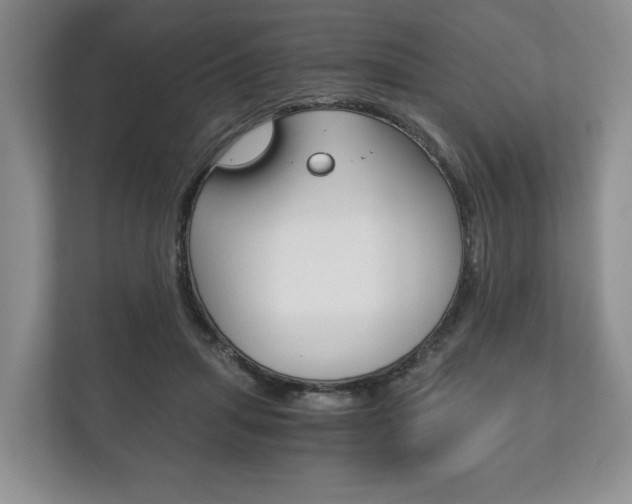 X0000113170455200909040937