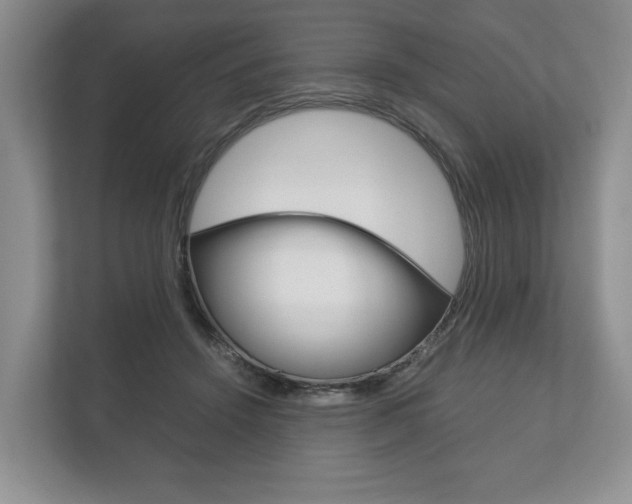 X0000113170456200909040937